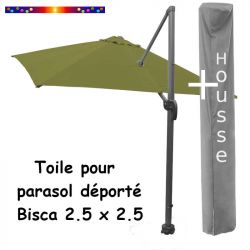 DT2.5x2.5 Vert Lichen + Housse