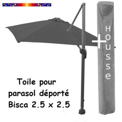 Toile Grise CARREE 2.5 X 2.5 pour Parasol Déporté Bisca + Housse de protection