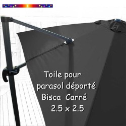 Toile Grise CARREE 2.5 X 2.5 pour Parasol Déporté Bisca : vue arrière du parasol