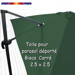 Vert  GINKGO :Toile de remplacement pour parasol déporté 2.5 x 2.5