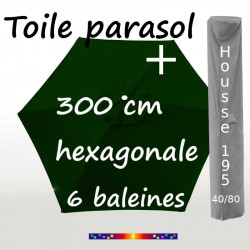 Pack : Toile 300/6 Vert Pinède + Housse 195x40/80