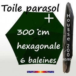 Pack : Toile 300/6 Vert Pinède + Housse 200x40/80