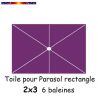 Toile Violette 2x3 (rectangle 6baleines Lacanau mât central)