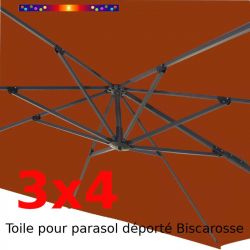 Toile 3x4 Terracotta (Rectangle) pour Parasol Déporté Biscarrosse