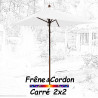 Parasol 2x2 Frêne&Cordon Blanc : vu de face