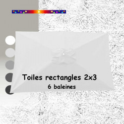 Toile Blanc 2x3 (rectangle 6baleines Lacanau mât central)