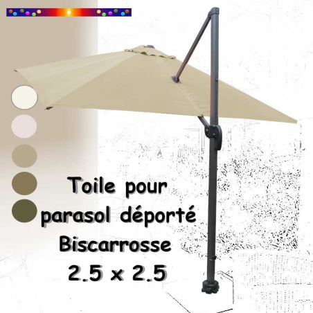 Toile Soie Grège CARREE 2.5 X 2.5 pour Parasol Déporté Biscarrosse