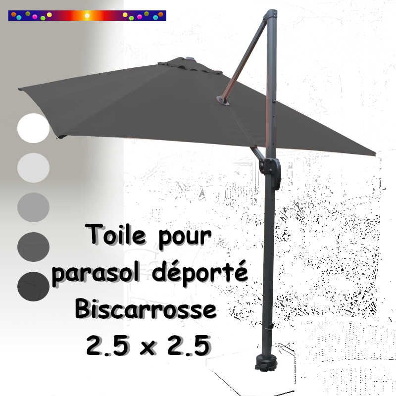 Toile Grise CARREE 2.5 X 2.5 pour Parasol Déporté Biscarrosse