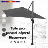 Toile Grise CARREE 2.5 X 2.5 pour Parasol Déporté Bisca