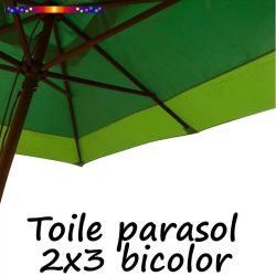 Toile Collector Bicolore Vert-Vert 2x3 (rectangle 6baleines Lacanau mât central)
