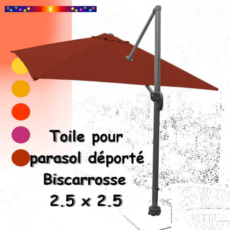 Toile New Terra CARREE 2.5 X 2.5 pour Parasol Déporté Bisca