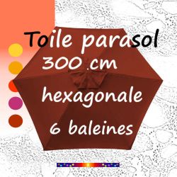 Toile New Terra Ø300 cm (6 cotés-mât central Lacanau)