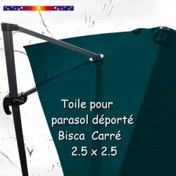 Toile Bleu Océan CARREE 2.5 X 2.5 pour Parasol Déporté Bisca : vue arrière