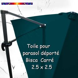 Toile Bleu Océan CARREE 2.5 X 2.5 pour Parasol Déporté Bisca : vue arrière