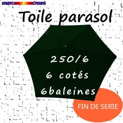 Toile Vert Ø250 cm ( 6 cotés-mât central )