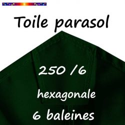Toile Vert Ø250 cm ( 6 cotés-mât central )