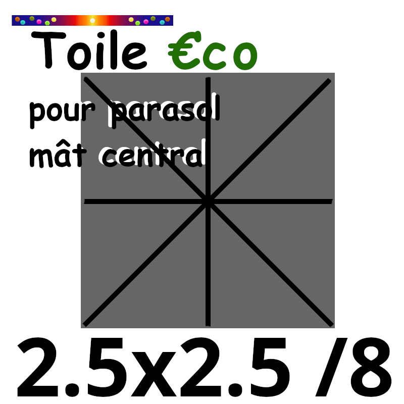 Toile €c☼ 180gr CARREE 2.5x2.5 couleur Gris ( 8 baleines , mât central )