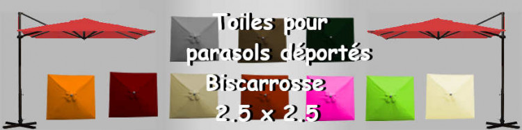 [DT2.5x2.5] Toiles carrées 2.5 x 2.5 pour Parasols Déportés Bisca